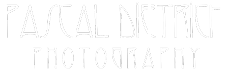 Pascal Dietrich | Hochzeitsfotograf Logo